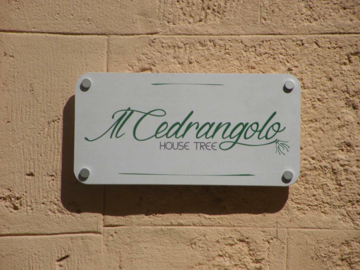 Il Cedrangolo House Tree Monopoli Exterior foto